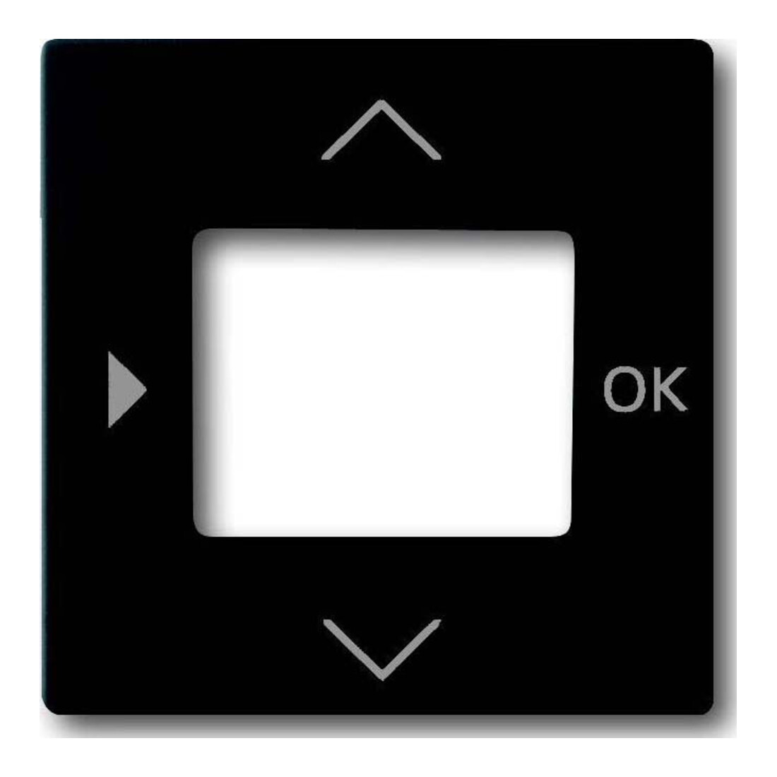 Busch-Jaeger Plaque centrale minuterie 6435-885