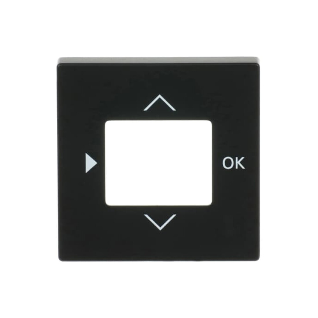 Busch-Jaeger Plaque centrale minuterie 6435-885
