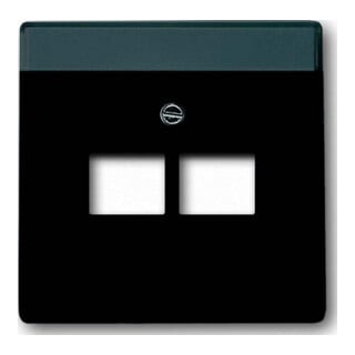 Busch-Jaeger Plaque centrale noir mt pour boîte de connexion UAE 2f 1803-02-885