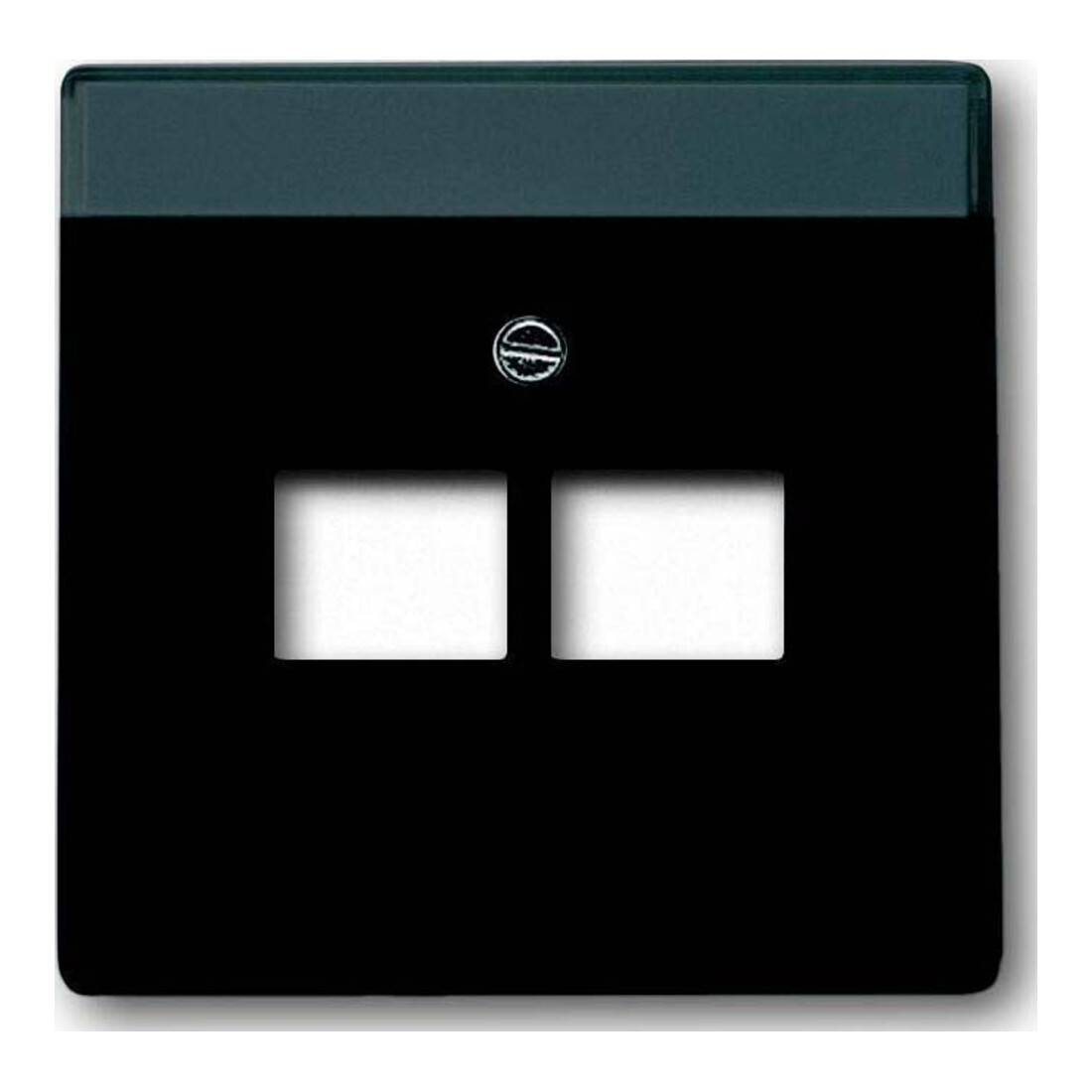 Busch-Jaeger Plaque centrale noir mt pour boîte de connexion UAE 2f 1803-02-885