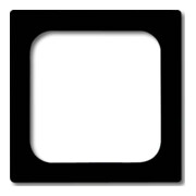 Busch-Jaeger Plaque centrale noire mate pour insert TAE 1746/10-885-1