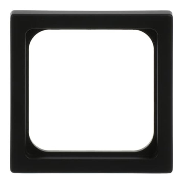 Busch-Jaeger Plaque centrale noire mate pour insert TAE 1746/10-885