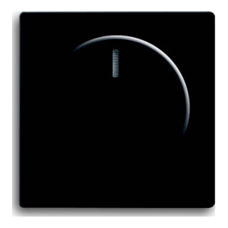 Busch-Jaeger Plaque centrale noire mate pour variateur rotatif 6540-885-102