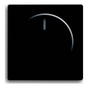 Busch-Jaeger Plaque centrale noire mate pour variateur rotatif 6540-885-102-1