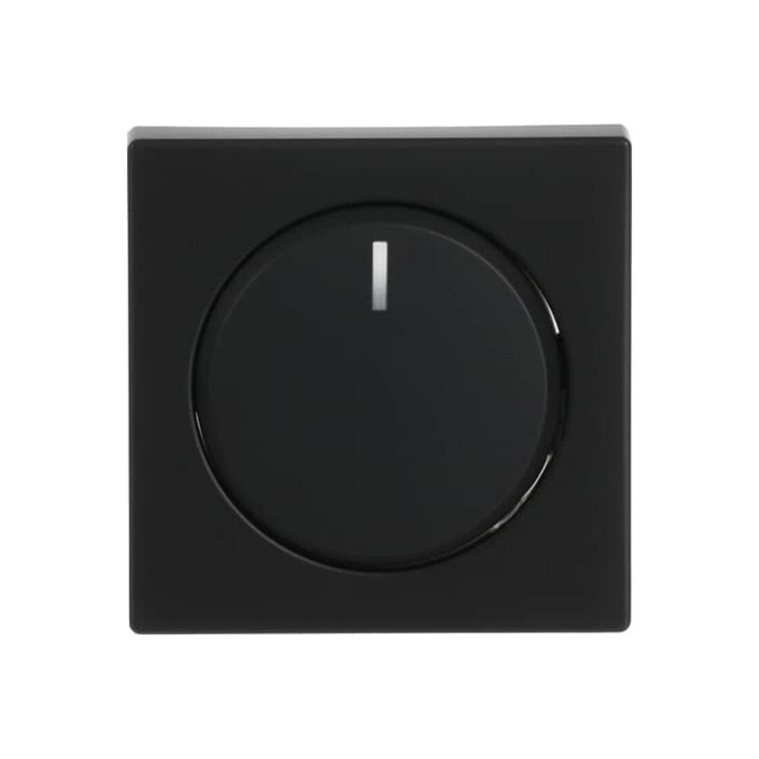 Busch-Jaeger Plaque centrale noire mate pour variateur rotatif 6540-885-102
