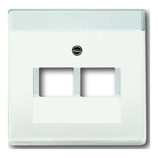 Busch-Jaeger Plaque centrale stws avec connexion UAE 2f 1803-02-884