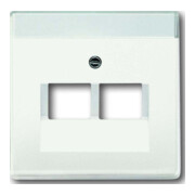 Busch-Jaeger Plaque centrale stws avec connexion UAE 2f 1803-02-884-1