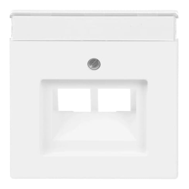 Busch-Jaeger Plaque centrale stws avec connexion UAE 2f 1803-02-884
