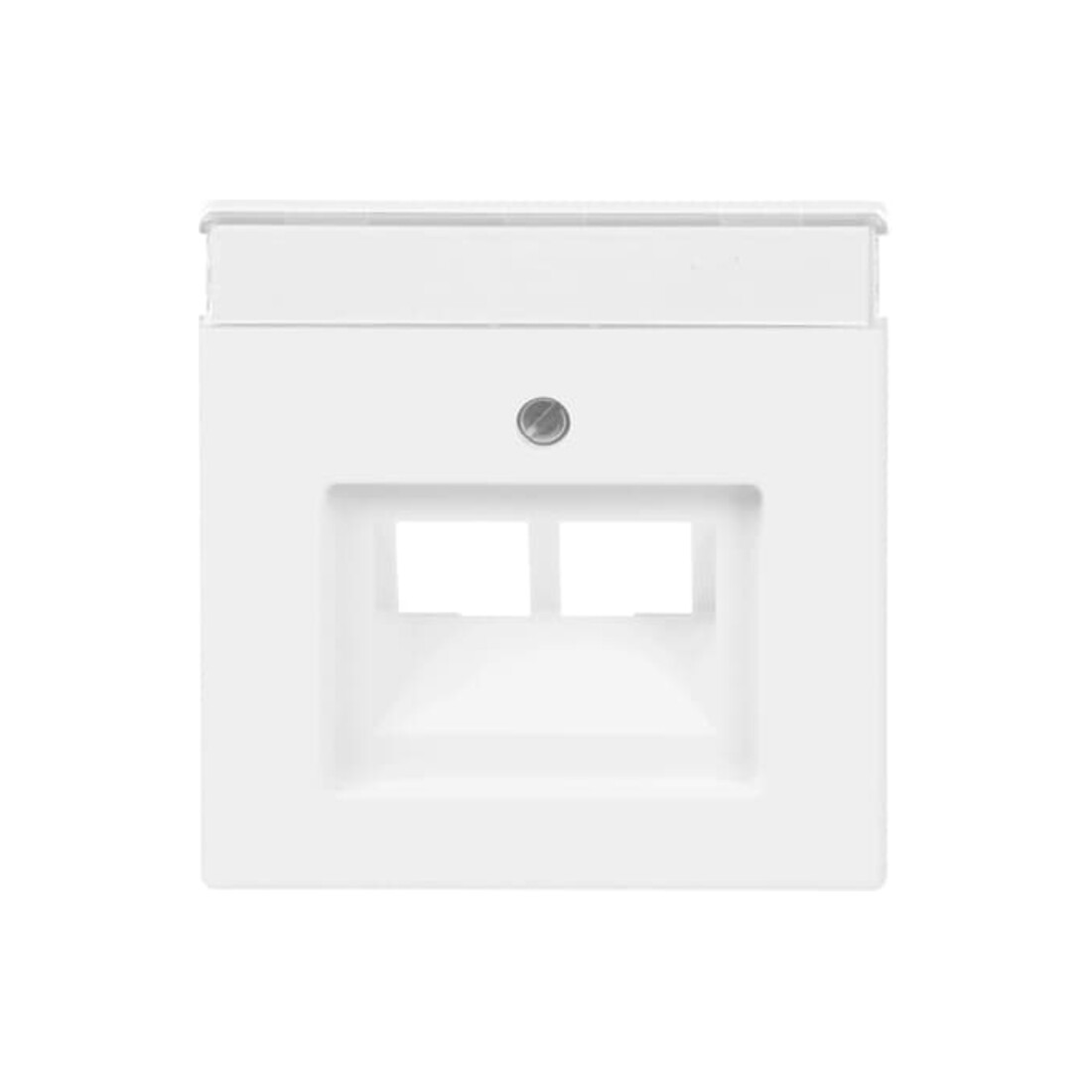 Busch-Jaeger Plaque centrale stws avec connexion UAE 2f 1803-02-884