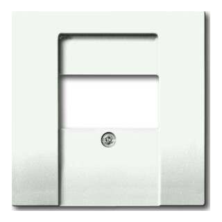 Busch-Jaeger Plaque centrale stws avec f.UAE/TAE/LS 1766-884