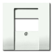 Busch-Jaeger Plaque centrale stws avec f.UAE/TAE/LS 1766-884-1