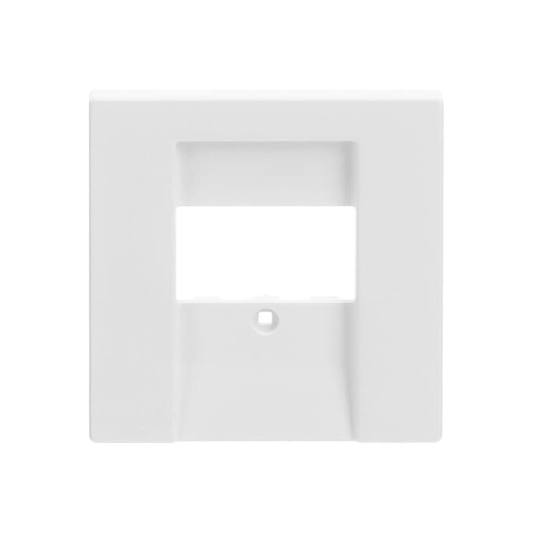 Busch-Jaeger Plaque centrale stws avec f.UAE/TAE/LS 1766-884