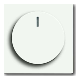 Busch-Jaeger Plaque centrale stws mt pour variateur rotatif 6540-884-102