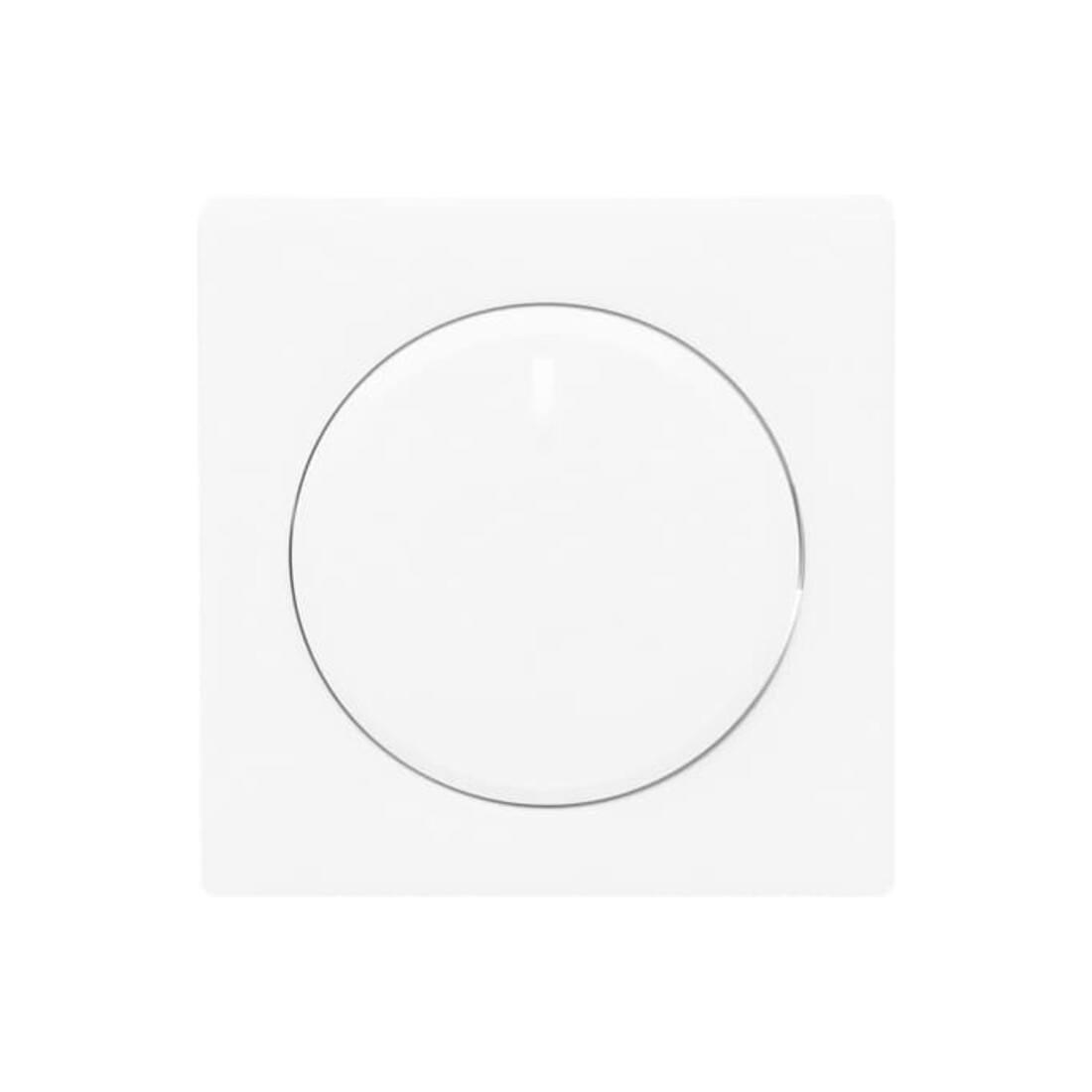 Busch-Jaeger Plaque centrale stws mt pour variateur rotatif 6540-884-102