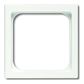 Busch-Jaeger Plaque centrale stws pour insert TAE 1746/10-884