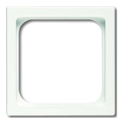 Busch-Jaeger Plaque centrale stws pour insert TAE 1746/10-884-1