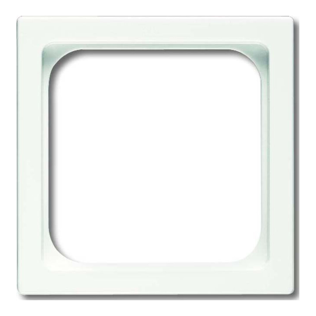 Busch-Jaeger Plaque centrale stws pour insert TAE 1746/10-884