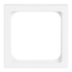 Busch-Jaeger Plaque centrale stws pour insert TAE 1746/10-884