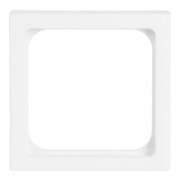 Busch-Jaeger Plaque centrale stws pour insert TAE 1746/10-884-3
