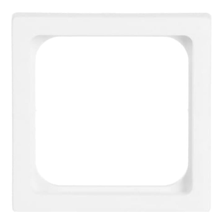 Busch-Jaeger Plaque centrale stws pour insert TAE 1746/10-884