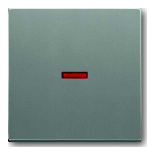 Busch-Jaeger Plaque de commande meteor/gr Ext., Interrupteur, Croix, Bouton 1789-803