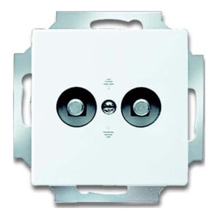 Busch-Jaeger Potentialausgleich dav/sws 2-fach UP 2095 UC-84