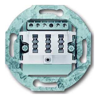 Busch-Jaeger Prise de connexion TAE aws 3x6 NFN 0243/04