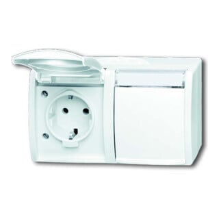 Busch-Jaeger Prise double horizontale 20/2 EWN-54