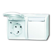 Busch-Jaeger Prise double horizontale 20/2 EWN-54-1
