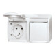 Busch-Jaeger Prise double horizontale 20/2 EWN-54