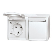 Busch-Jaeger Prise double horizontale 20/2 EWN-54-2