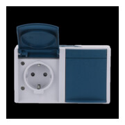 Busch-Jaeger Prise grise/bleu-vert 20/2 EBW-53-3