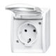 Busch-Jaeger Prise SCHUKO 20 EWN-54