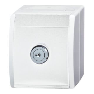 Busch-Jaeger Prise SCHUKO 20 EWSL-101-54