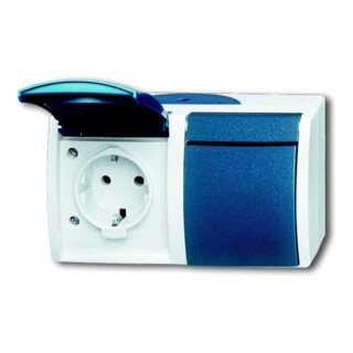 Busch-Jaeger Prise Schuko 2x gr/bgn horizontale 20/2 EW-53