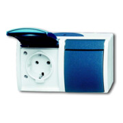 Busch-Jaeger Prise Schuko 2x gr/bgn horizontale 20/2 EW-53-1
