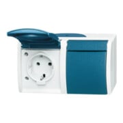 Busch-Jaeger Prise Schuko 2x gr/bgn horizontale 20/2 EW-53-3