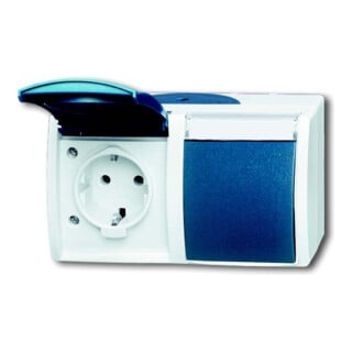 Busch-Jaeger Prise Schuko 2x horizontale 20/2 EWN-53