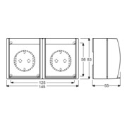 Busch-Jaeger Prise Schuko 2x horizontale 20/2 EWN-53-4