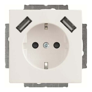 Busch-Jaeger Prise SCHUKO 2x USB 20 EUCB2USB-84