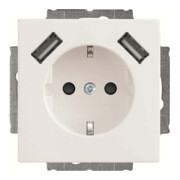 Busch-Jaeger Prise SCHUKO 2x USB 20 EUCB2USB-84-1