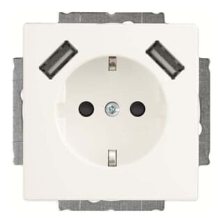 Busch-Jaeger Prise SCHUKO 2x USB 20 EUCB2USB-884
