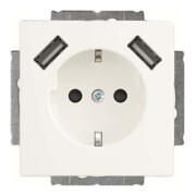 Busch-Jaeger Prise SCHUKO 2x USB 20 EUCB2USB-884-1