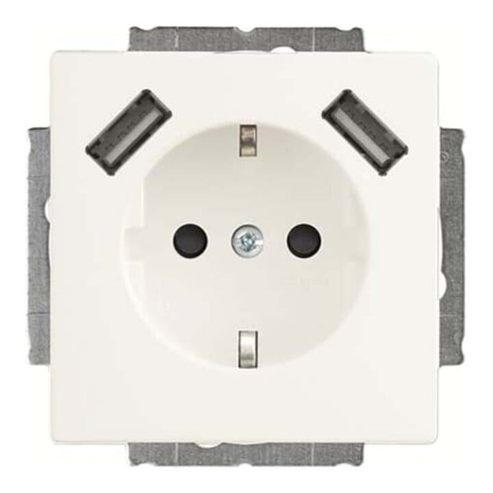 Busch-Jaeger Prise SCHUKO 2x USB 20 EUCB2USB-884