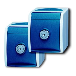 Busch-Jaeger Prise Schuko 2xAP 2 serrures identiques 20/20 EWSL-53