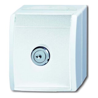 Busch-Jaeger Prise SCHUKO al/ws avec serrure 20 EWSL-54