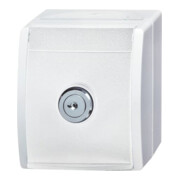 Busch-Jaeger Prise SCHUKO al/ws avec serrure 20 EWSL-54-3