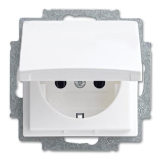 Busch-Jaeger Prise SCHUKO alpin blanc 20 EUK-914
