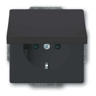 Busch-Jaeger Prise SCHUKO anthracite 20 EUKB-81