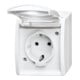 Busch-Jaeger Prise Schuko avec couvercle rabattable 20 EW-54